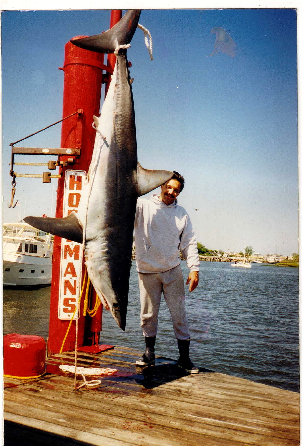 Tiger Shark Eats Man in the Bahamas - 09/08/2010 - The Pub - CombatACE